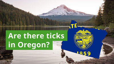 Are There Ticks in Oregon? A Guide to Oregon Tick Species