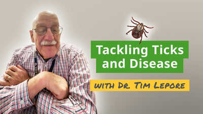 A Guide to Ticks and Tick-Borne Diseases on Nantucket