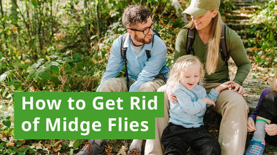 How to Get Rid of Midge Flies: Effective Solutions for Your Home and Outdoors