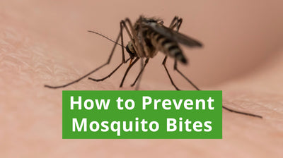 How to Prevent Mosquito Bites: Effective Protection Strategies