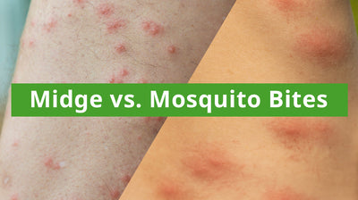 Midge vs. Mosquito Bites: How to Identify and Repel These Pesky Insects