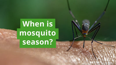When Is Mosquito Season?