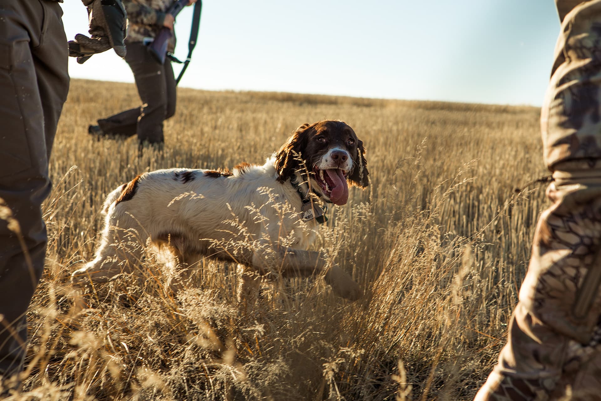 Insect Repellent Clothing for Hunting