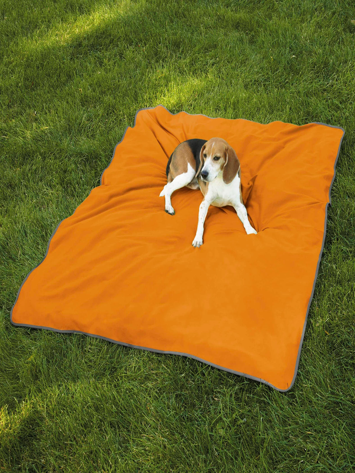 Insect Shield Dog Blanket