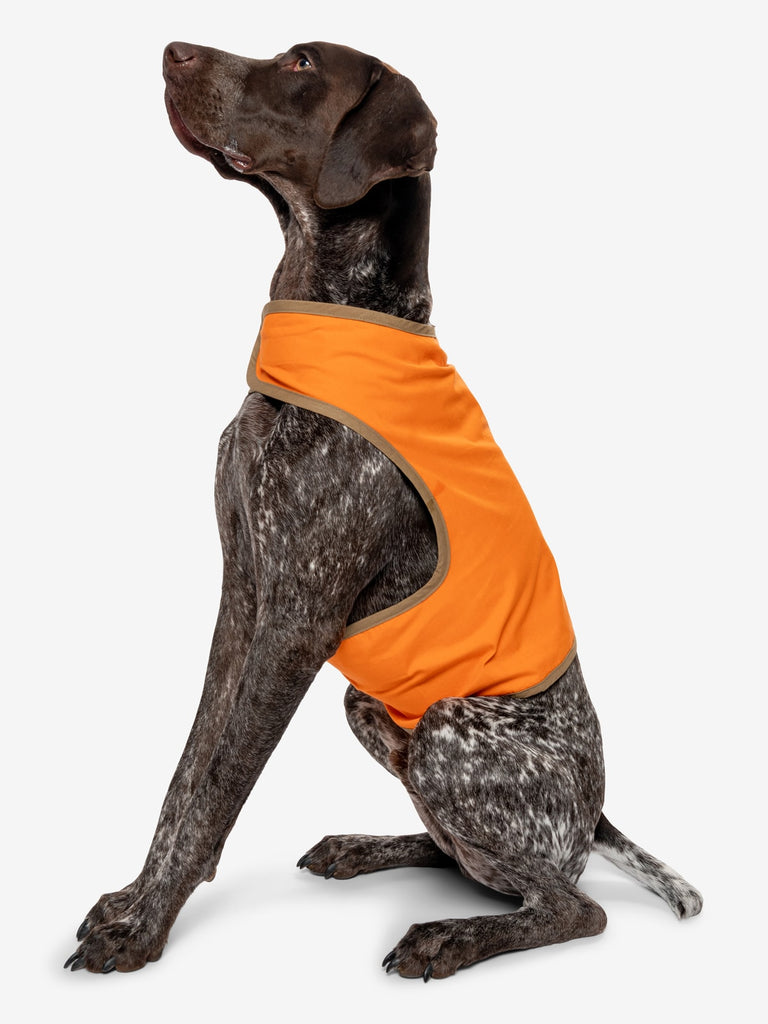 Insect shield clearance breathable dog vest